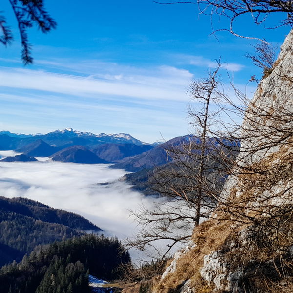 Dezemberwanderung auf die Sauwand bei Mariazell