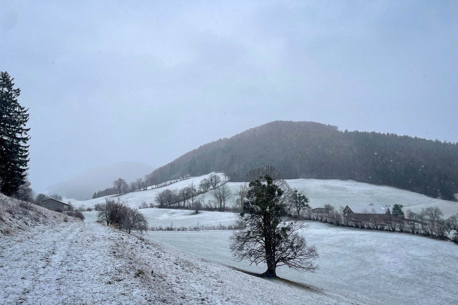 Blick ins verschneite Mostviertel. Foto: Ursula Truebswasser