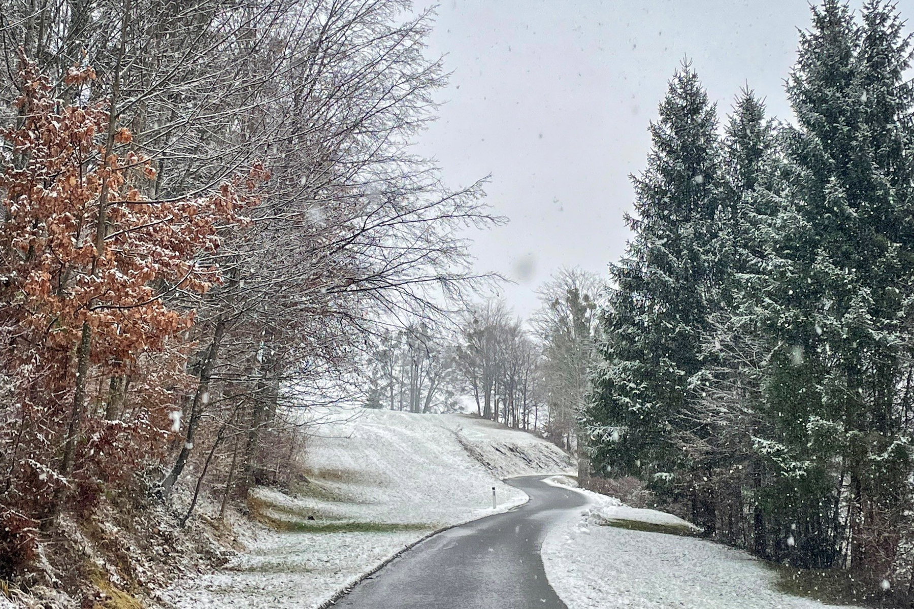 Straße Richtung Fischbachmühle. Foto: Ursula Truebswasser