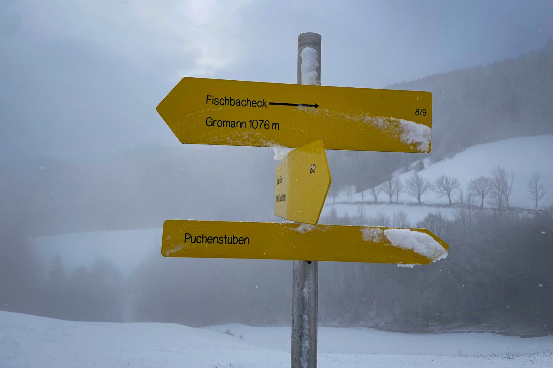 Weg über Fischbachmühle zum Gromann. Foto: Ursula Truebswasser