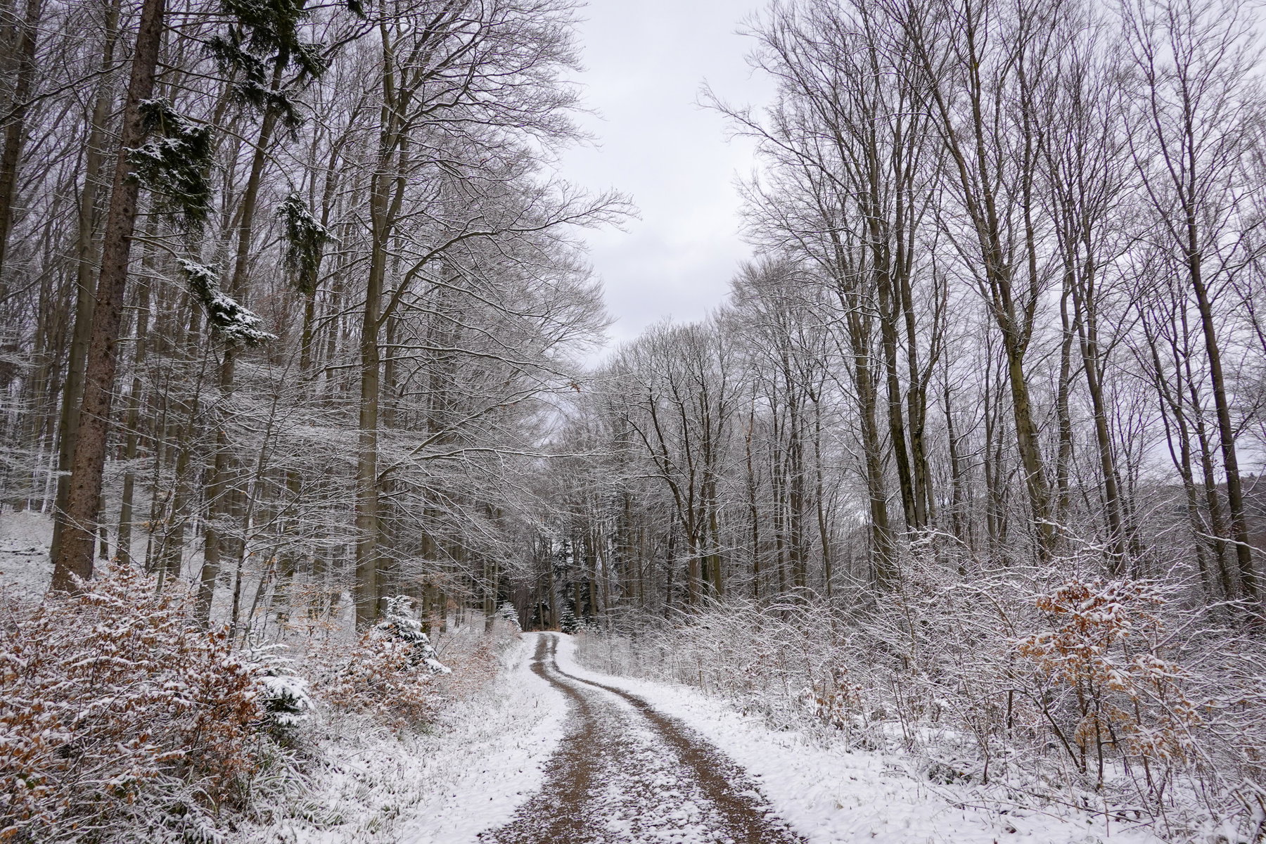 Bald sind wir wieder in Pressbaum. Foto:  Barbara Wanzenböck