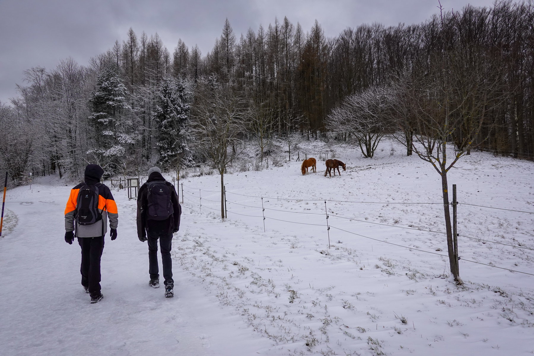 Beim Weiler Pfalzberg. Foto. Barbara Wanzenböck