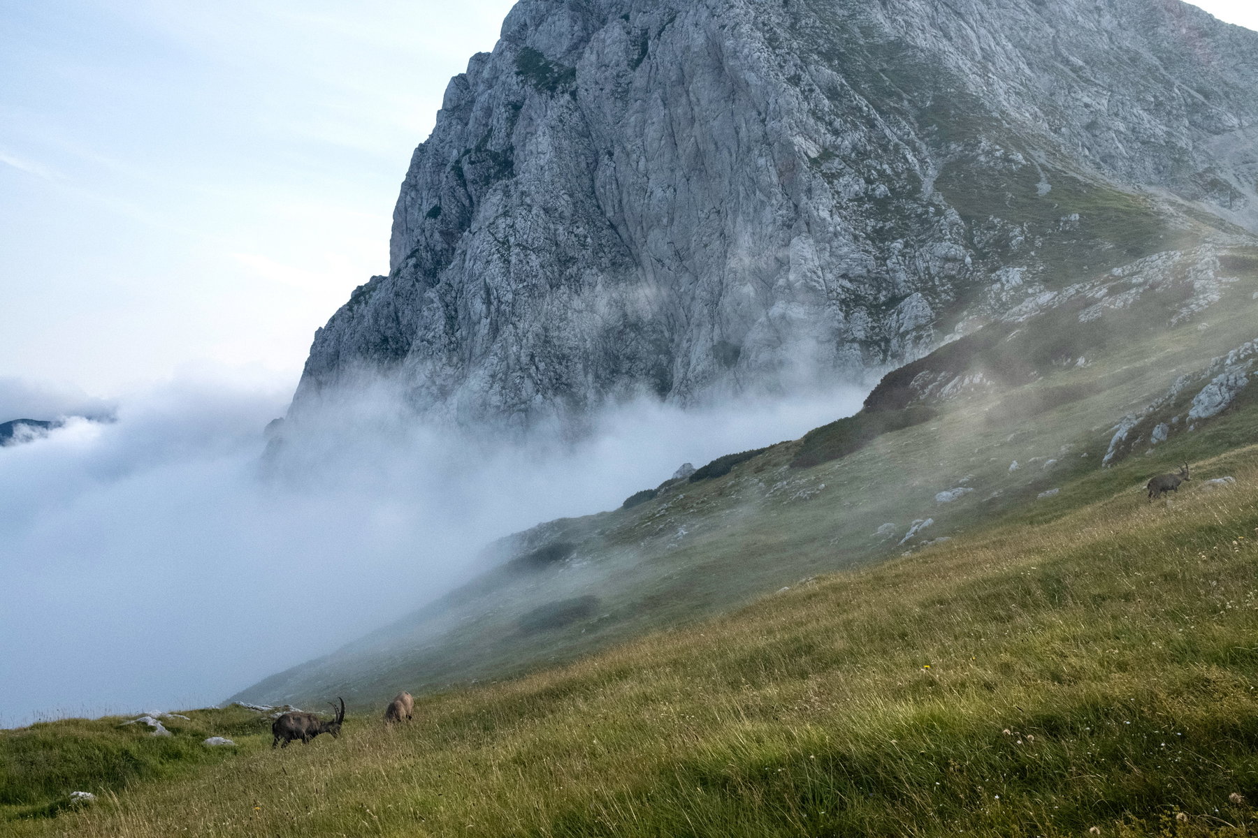 Leider keine Aussicht auf dem Weg zum Frauenkogel. Foto: Birgit Reiter