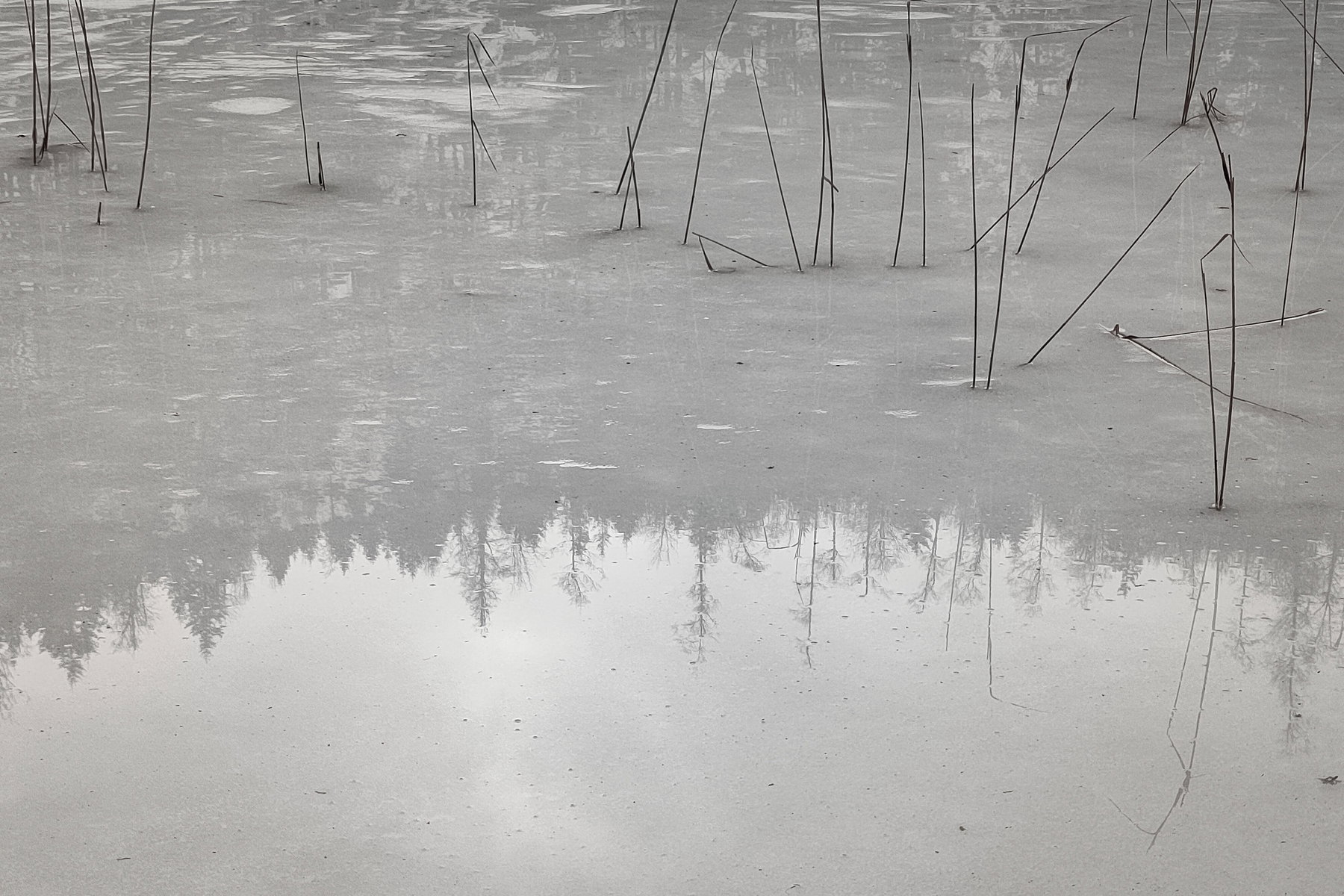 Wurzelgrat und Sonnenbad: Filbling im Februar