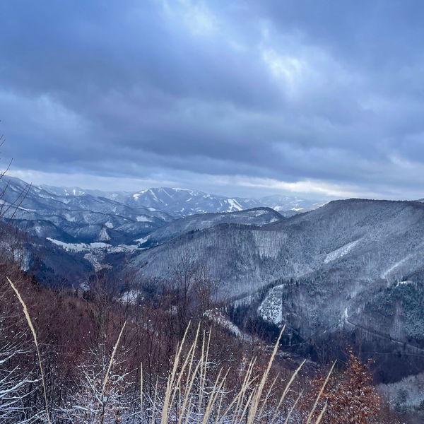 Von Freiland (nicht ganz) über den Muckenkogel nach Lilienfeld