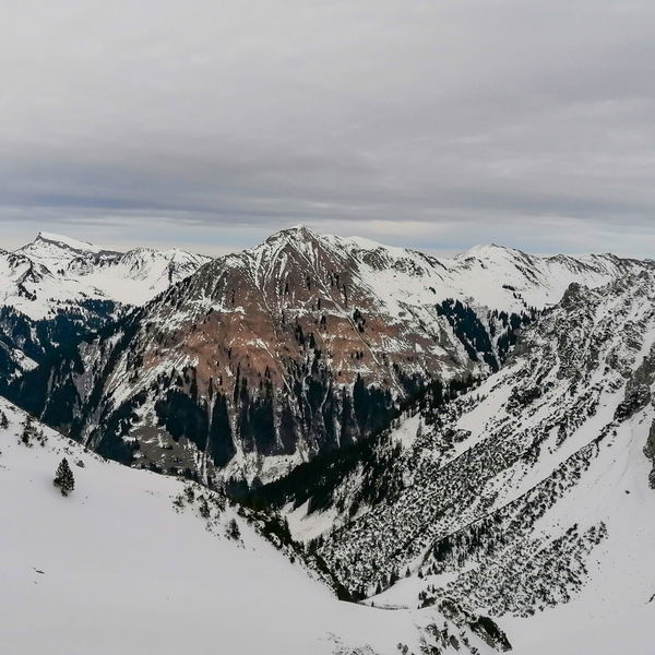 Ruchwannekopf