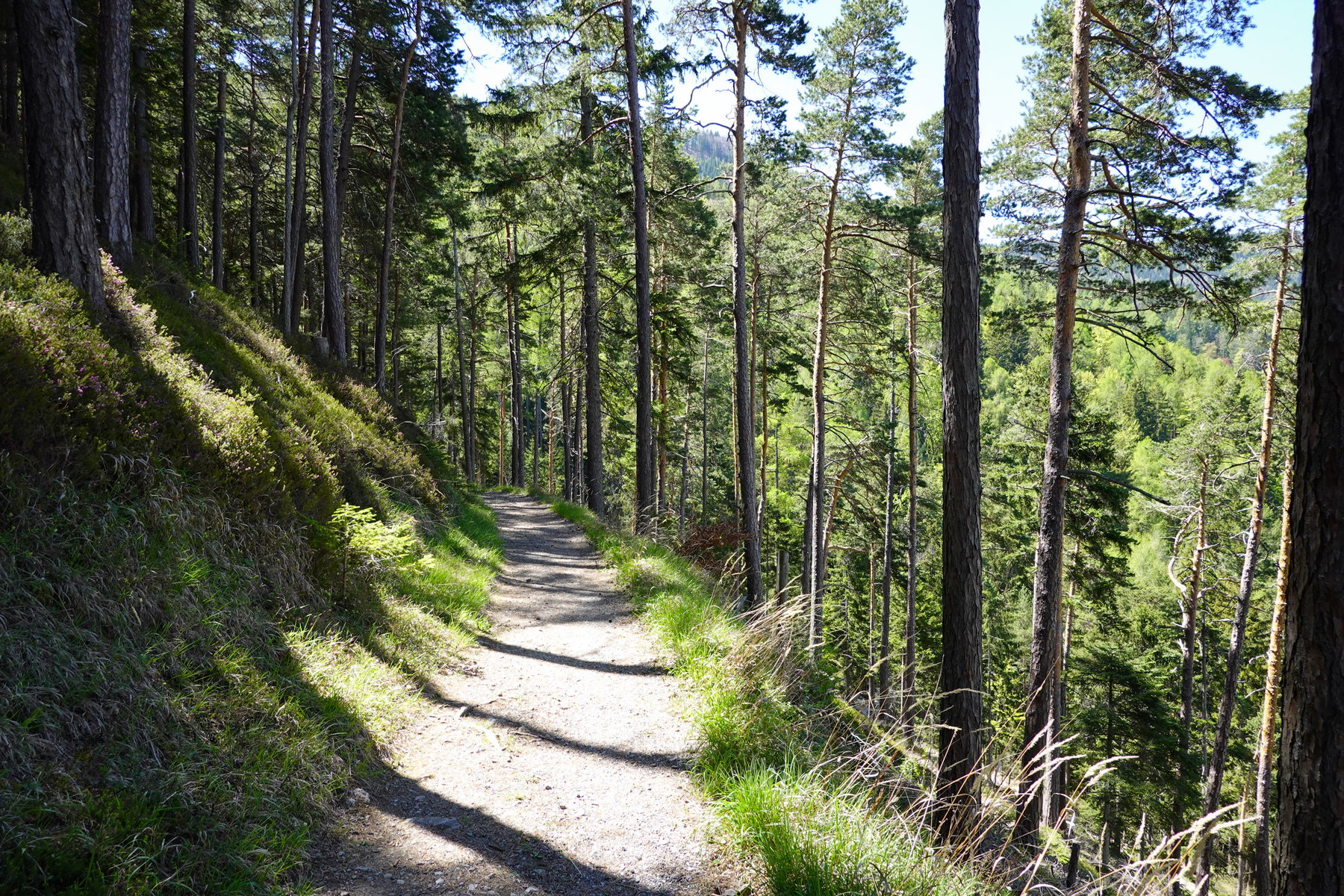 Gemütlicher Meiereiweg. Foto: Barbara Wanzenböck