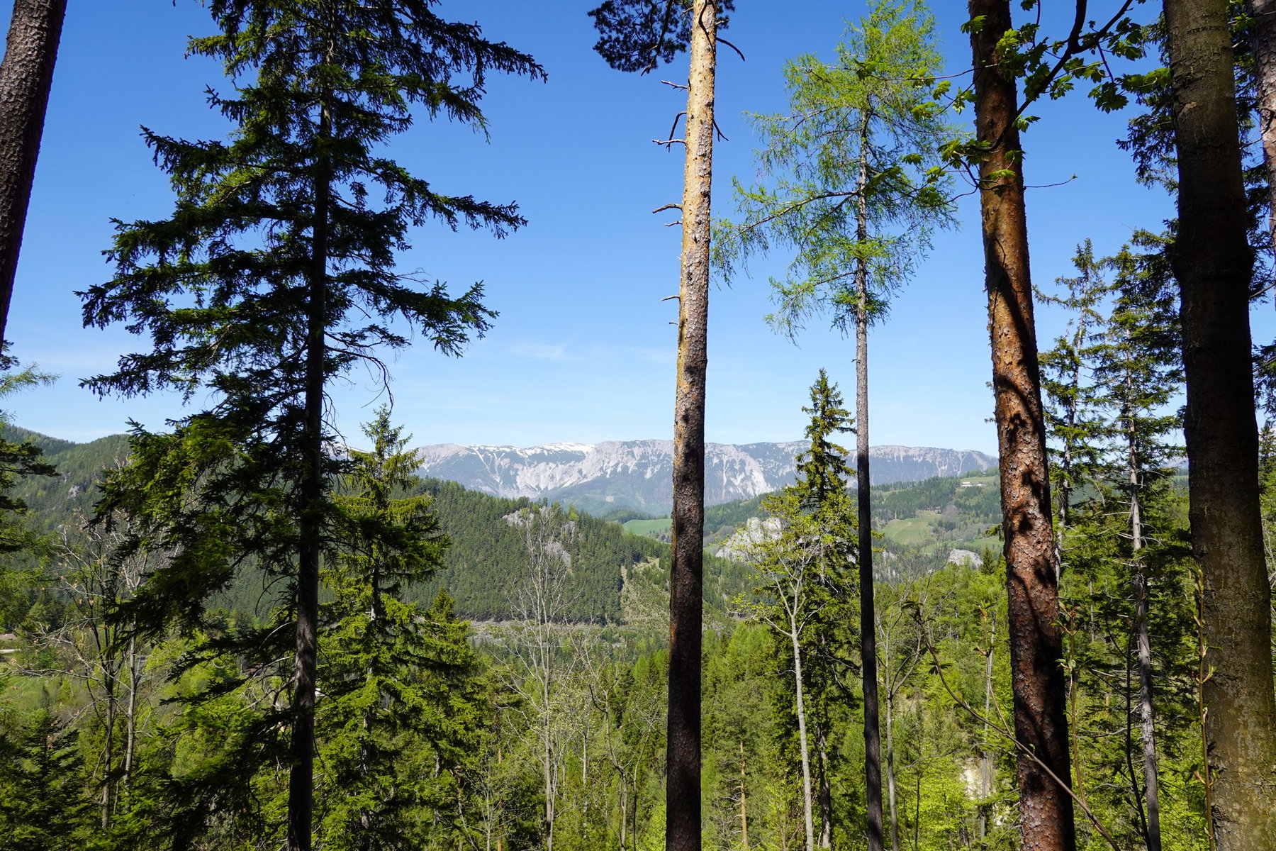 Blick Richtung Schneeberg und Rax. Foto: Barbara Wanzenböck
