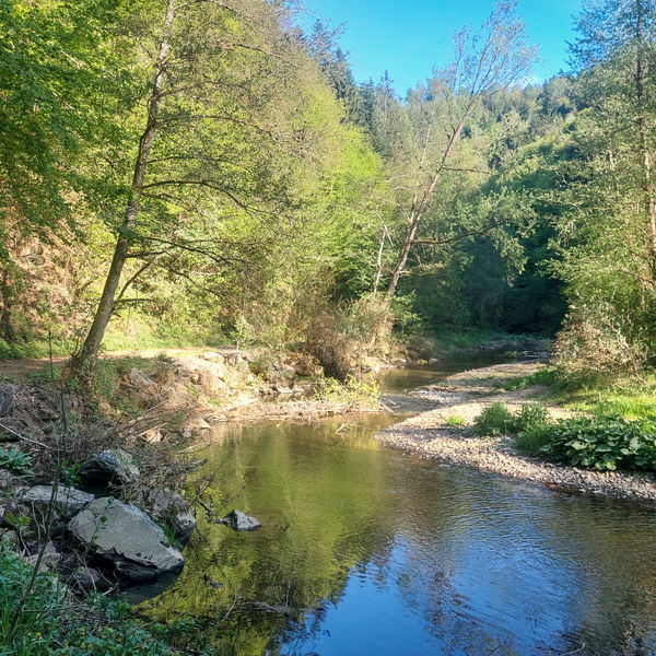 Gemütlich durch die kleine Raabklamm