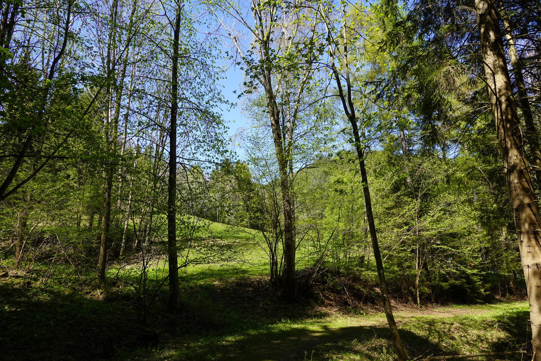 Am Weg in den Adlitzgraben. Foto: Barbara Wanzenböck