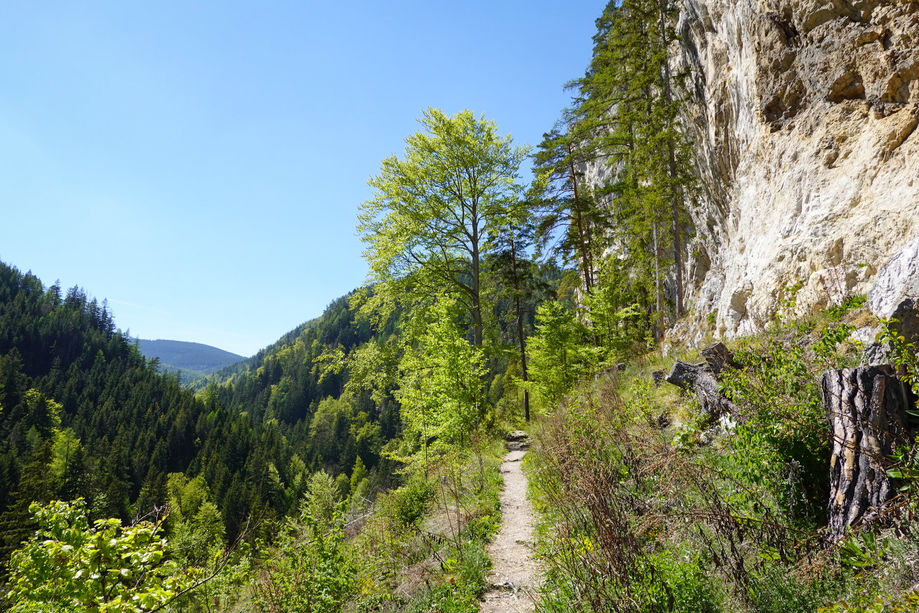 Weg entlang der Falkensteinwand. Foto: Barbara Wanzenböck