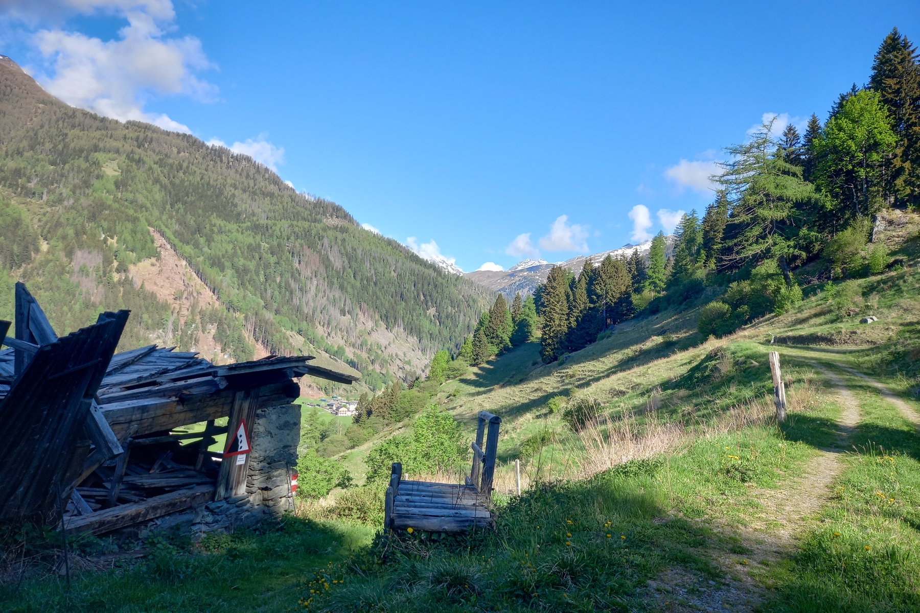 Schöne Bauernwiesen im unteren Teil vom Aufstieg. Foto: Martina Friesenbichler