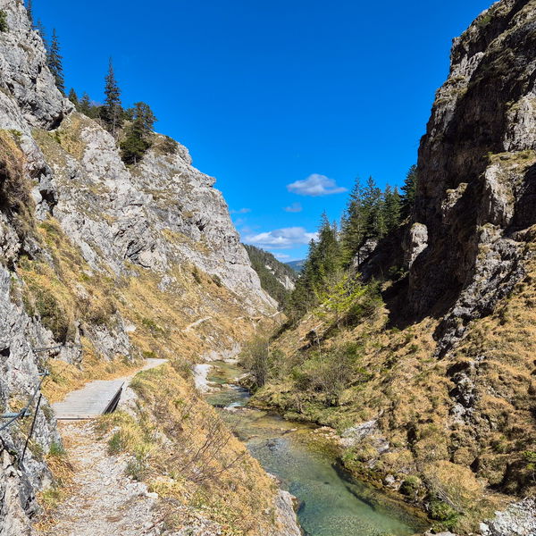 Berg- und Schluchtenerlebnis im Naturpark Ötscher-Tormäuer