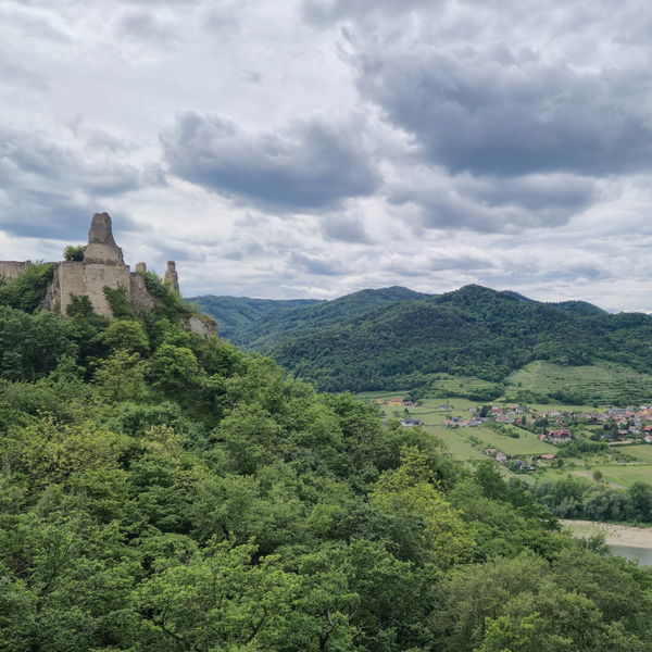 Ein Tag am Welterbesteig Wachau: Von Weißenkirchen nach Dürnstein