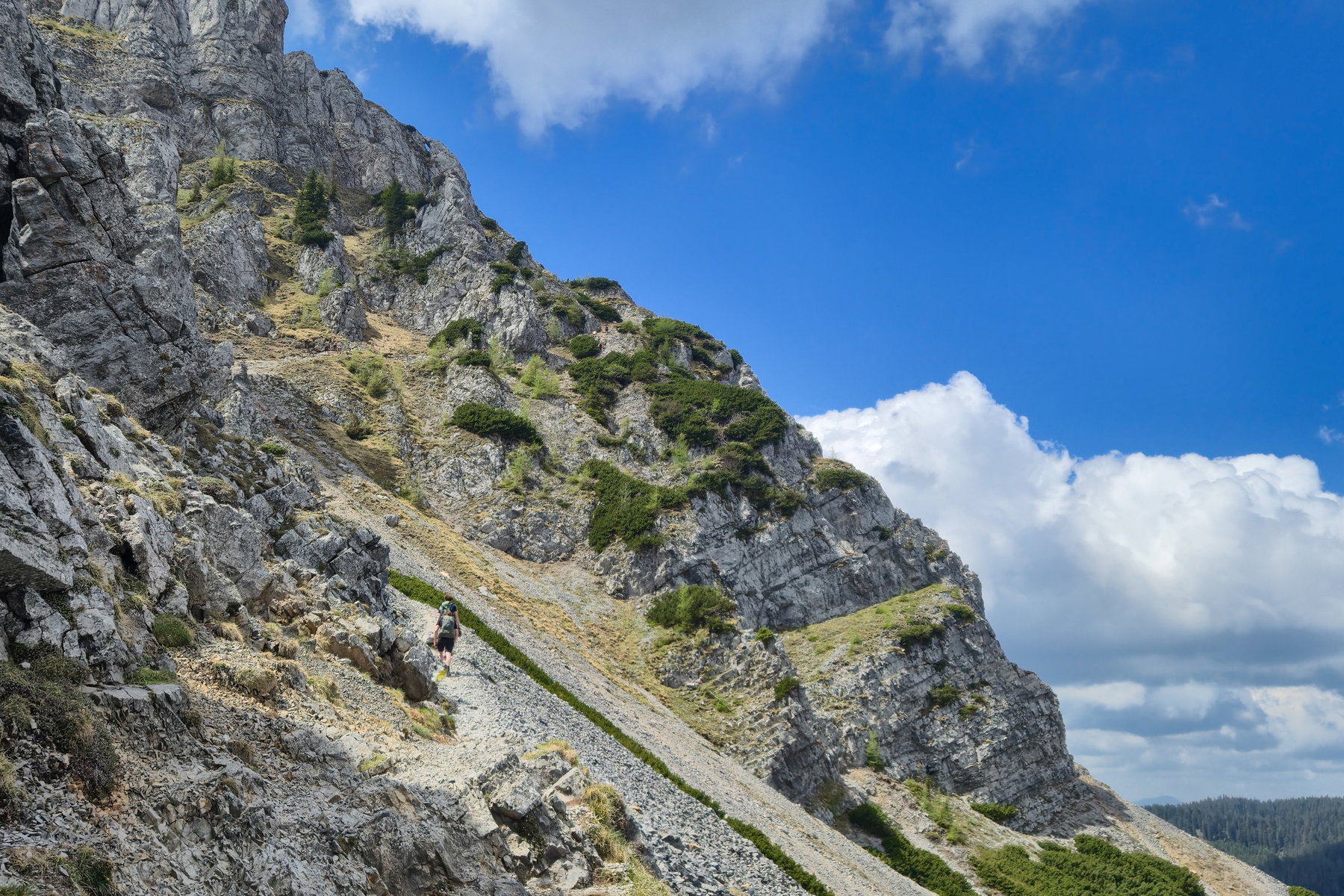 Tageswanderung Hochschneeberg