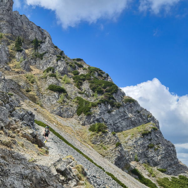 Tageswanderung Hochschneeberg