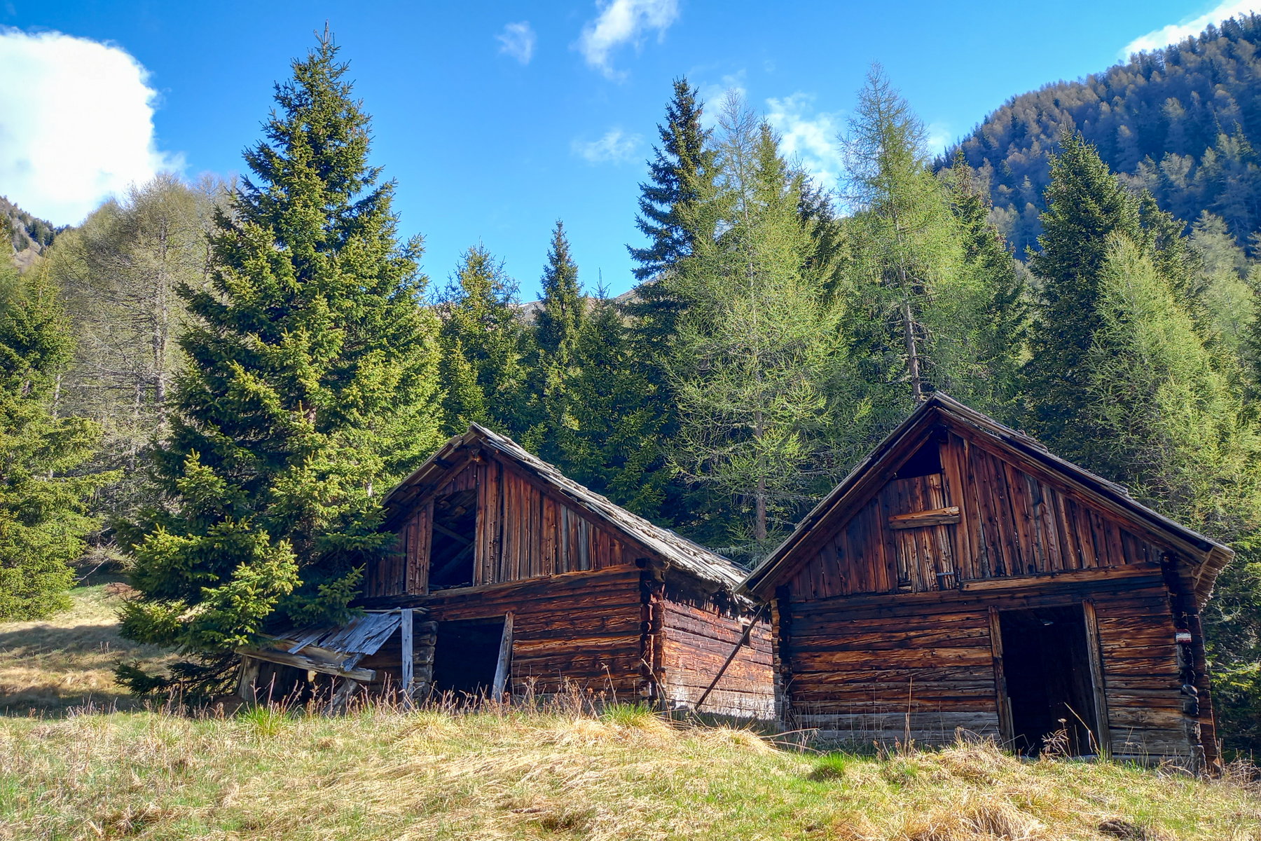 (Verfallende) Gebäude bei der Rosskopfalm. Unmittelbar danach beginnt die Kernzone vom Nationalpark. Foto: Martina Friesenbichler