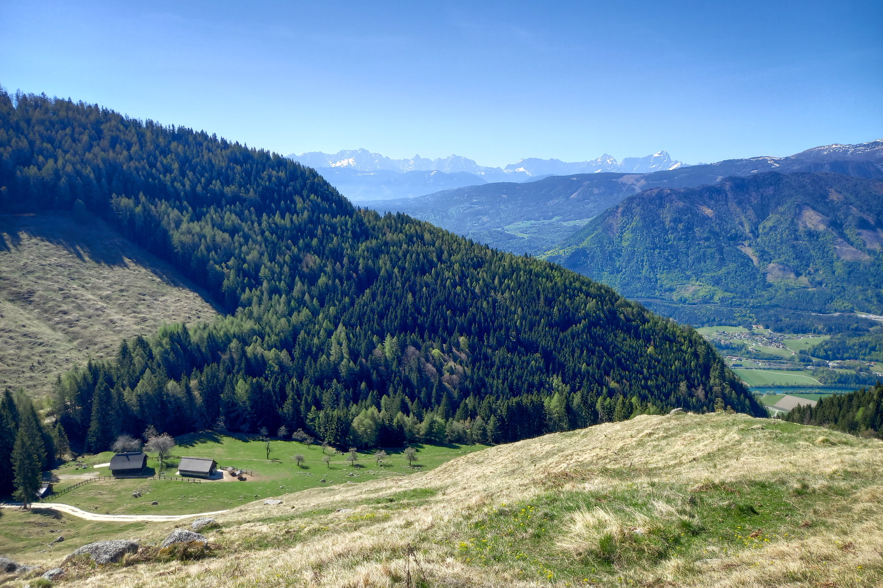 Oberhalb der Zauchenalm. Foto: Martina Friesenbichler