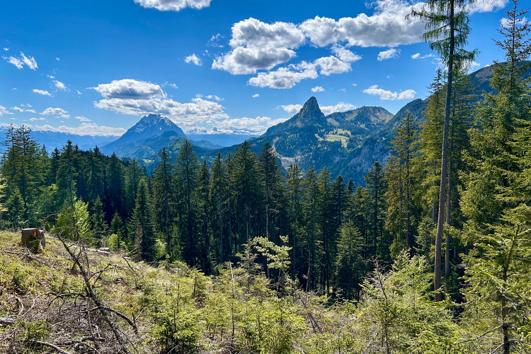 Herrliche Aussicht in Richtung Grimming. Foto Veronika Schöll