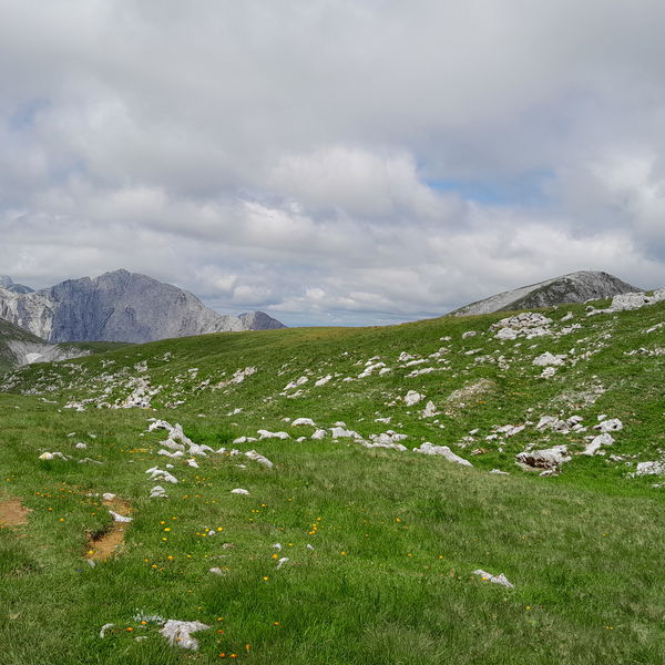 Wanderung von der Seeberg Passhöhe über Seeleiten auf die Hohe Weichsel