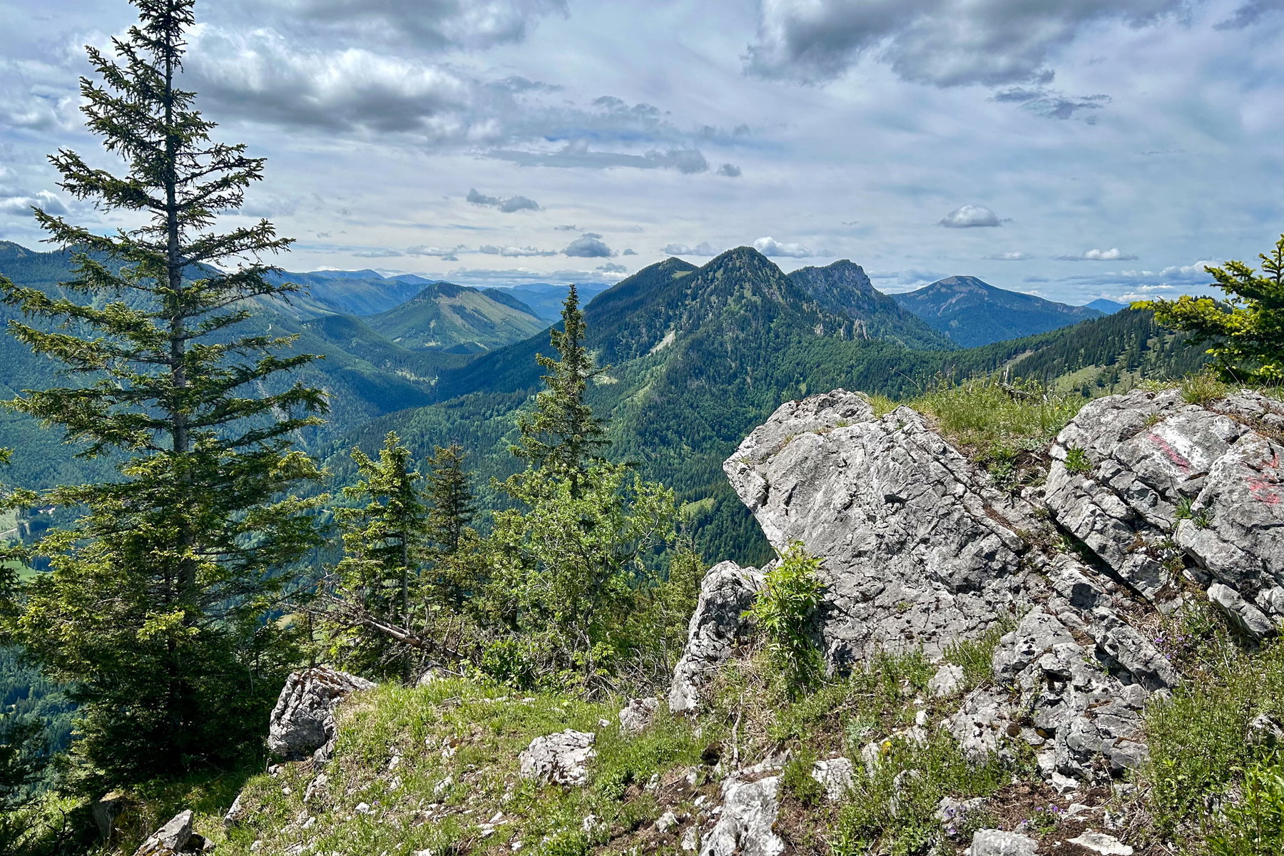 Auf der Mistelbacher Höhe, Foto Veronika Schöll
