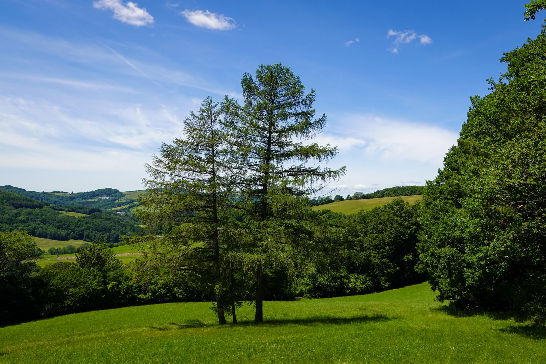 Über die Hügel der Pyrat(en)