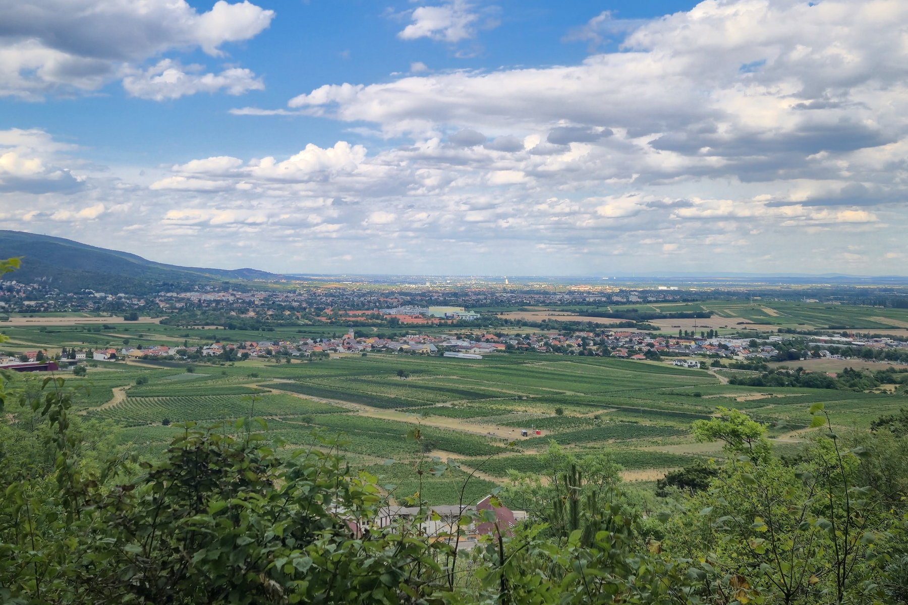 Ausblick Richtung Wien. Foto: Linda Prähauser