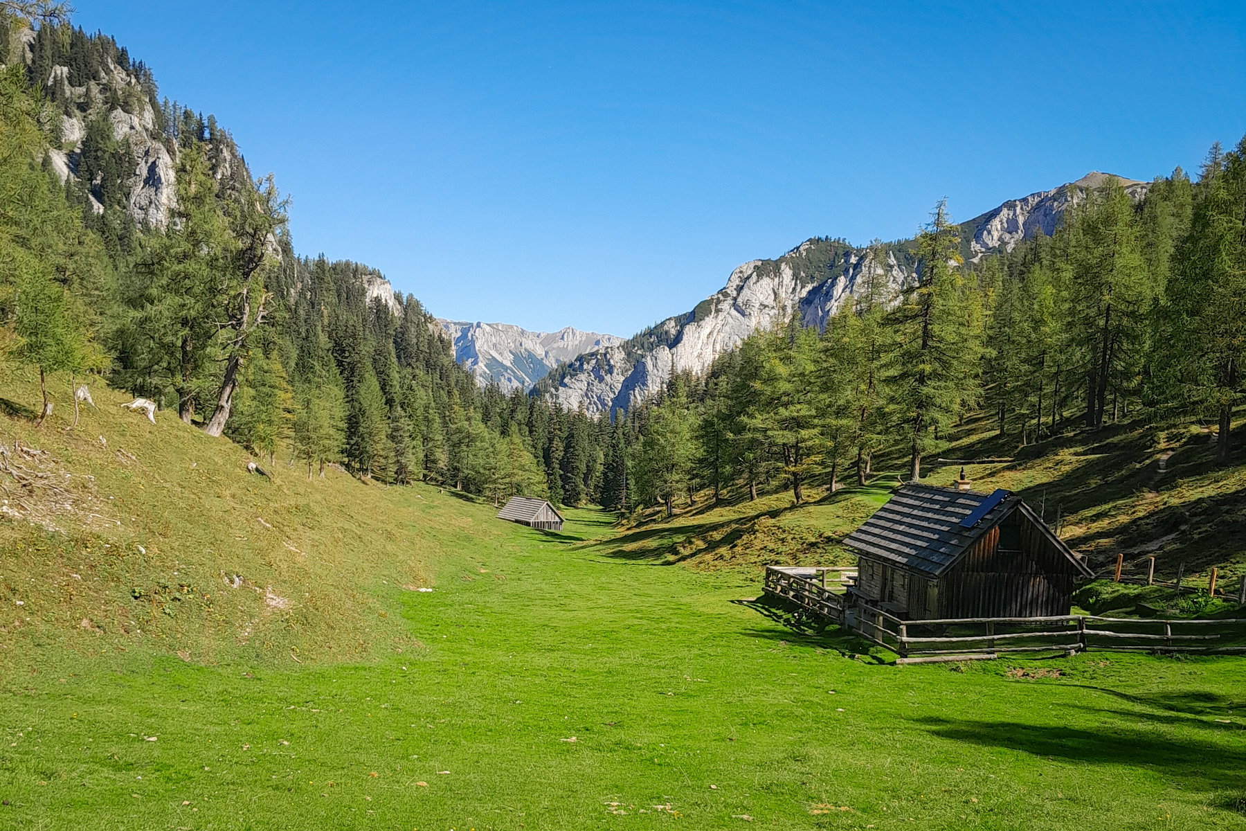 Vom Grünen See auf die Pribitz und über die Jassingalm zurück