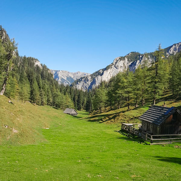 Vom Grünen See auf die Pribitz und über die Jassingalm zurück