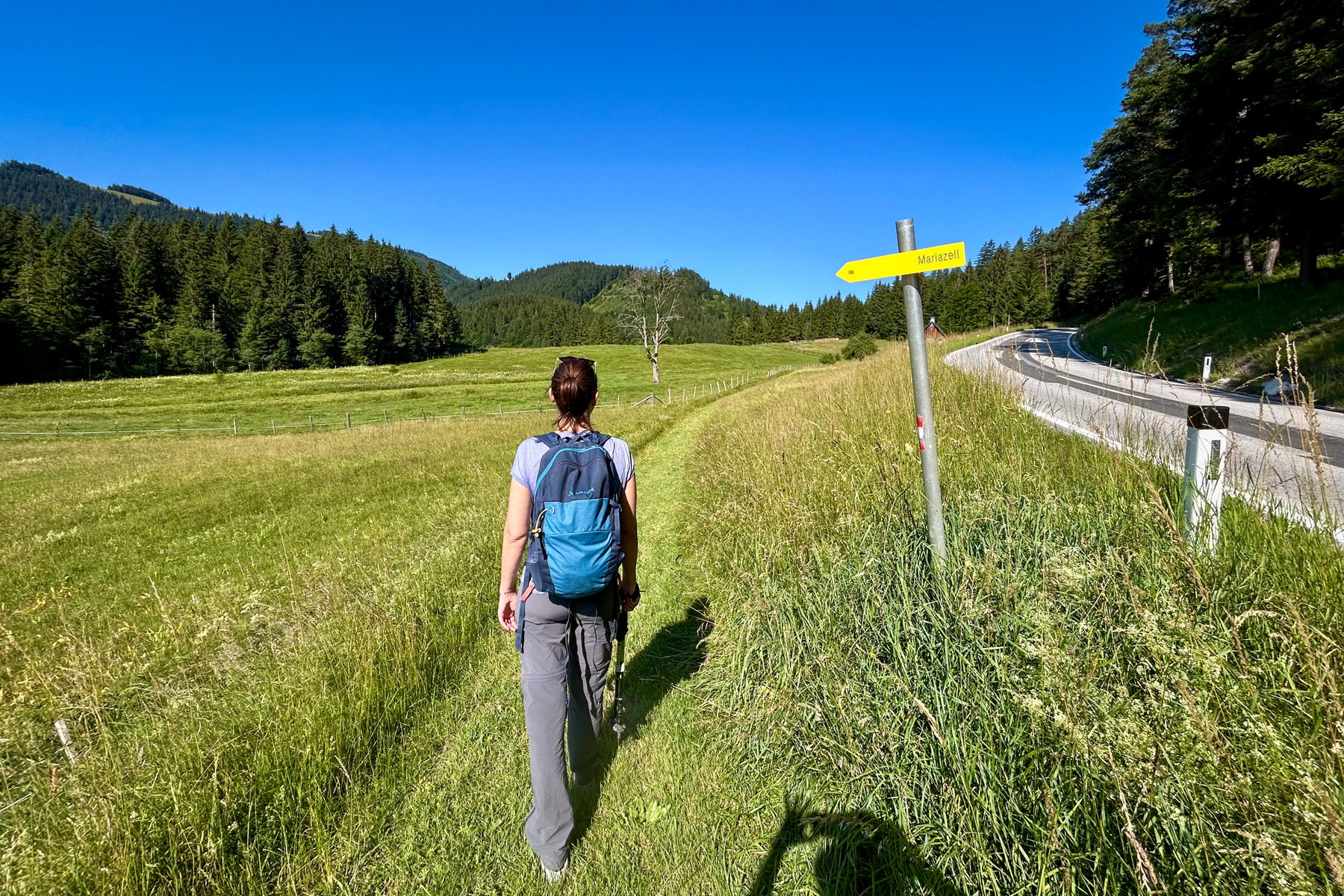 Am Weg zum Lahnsattel. Foto Veronika Schöll