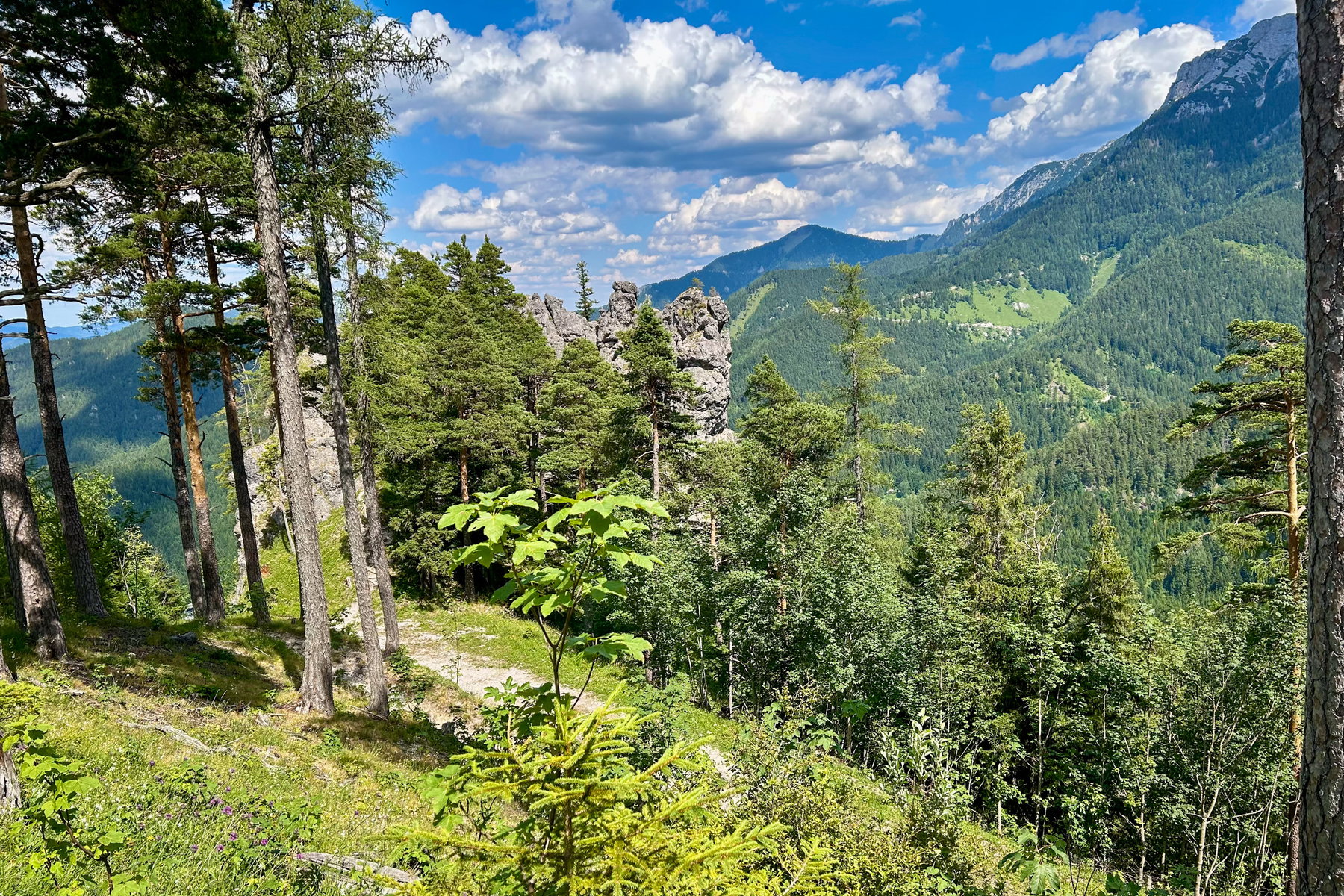 Unser Abstiegsweg nach Kernhof. Foto Veronika Schöll