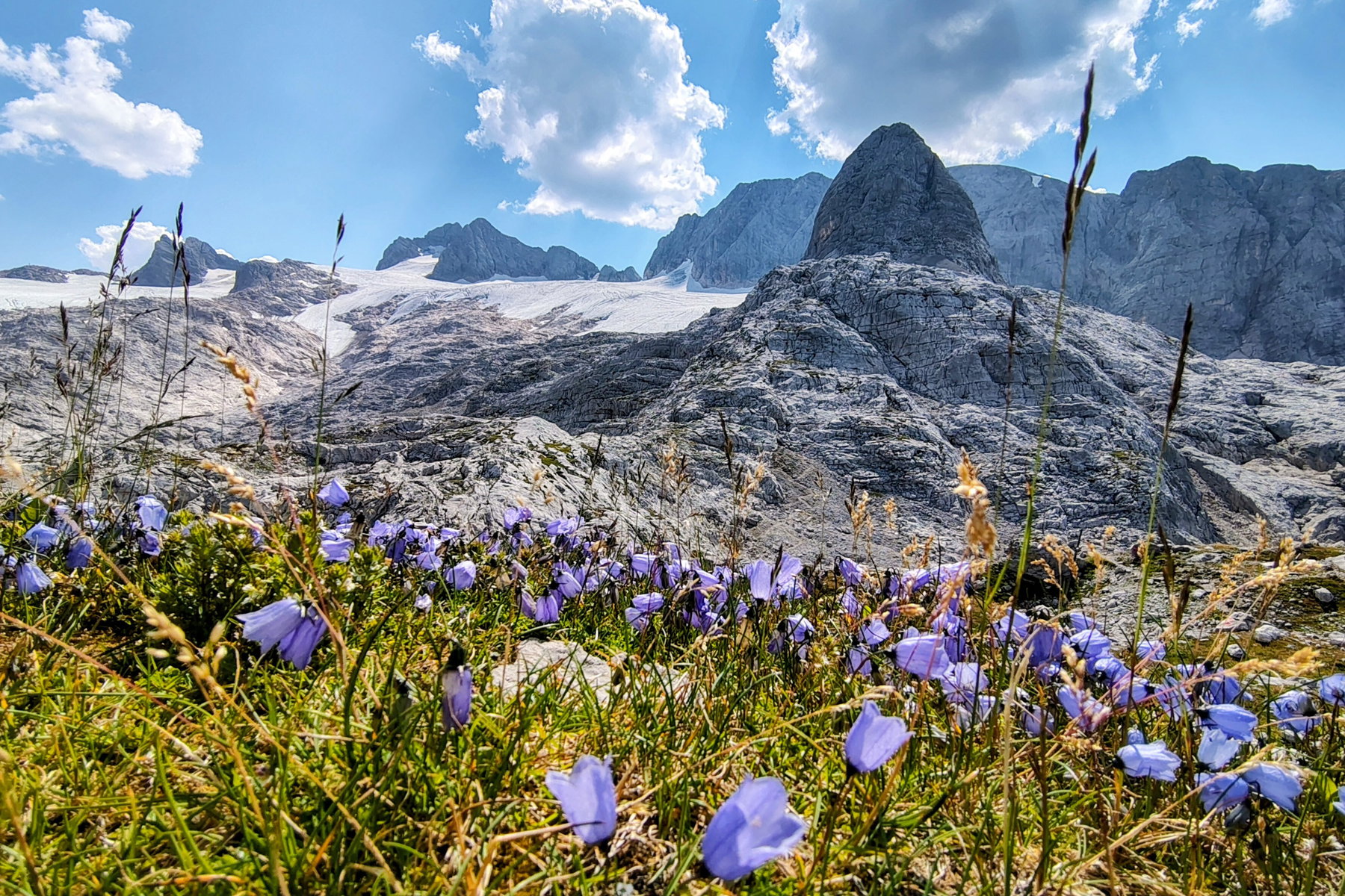 Aussicht von der Simonyhütte Richtung Süden zum Gletscher und zum markanten Schöberl. Foto: Silvia Henglmüller