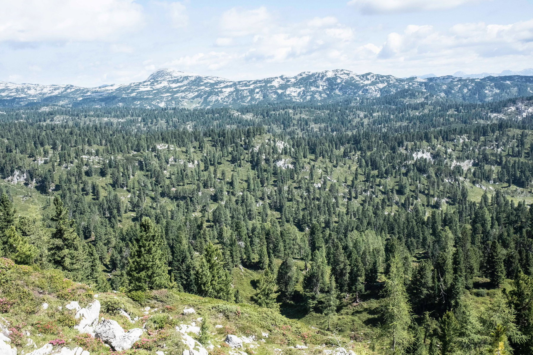 Unendliche, einsame Weite des östlichen Dachsteinplateaus. Foto: Birgit Reiter