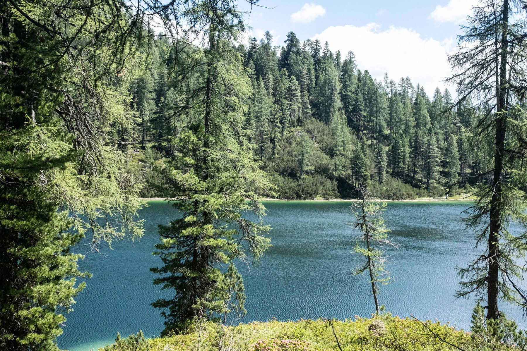 Grafenbergsee. Foto: Birgit Reiter