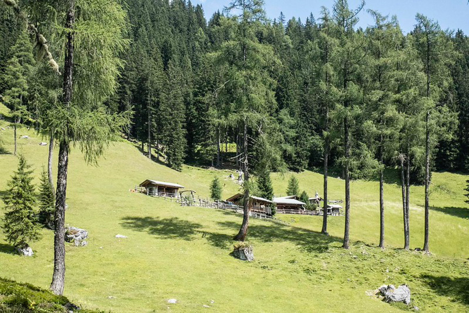 Auch mit Kindern ein lohnendes Ziel – die Lärchbodenalm. Foto: Birgit Reiter