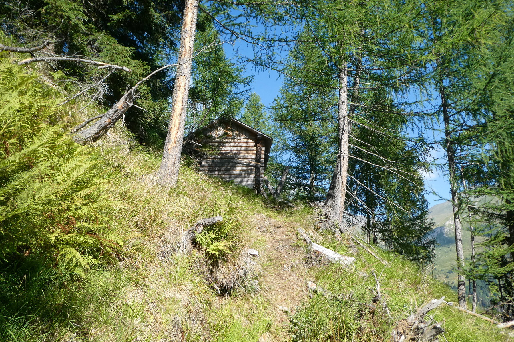Gut versteckt… Foto: Karl Plohovich