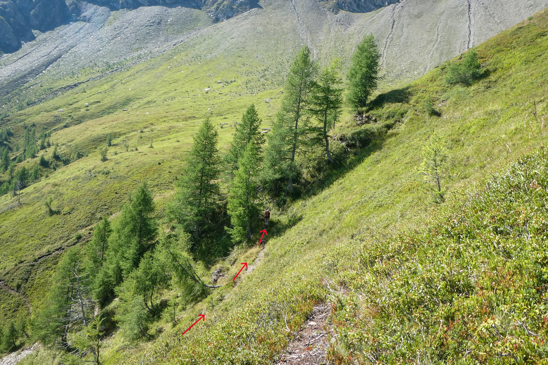 Auf Steiglein in die Mauternitzgrube. Foto: Karl Plohovich