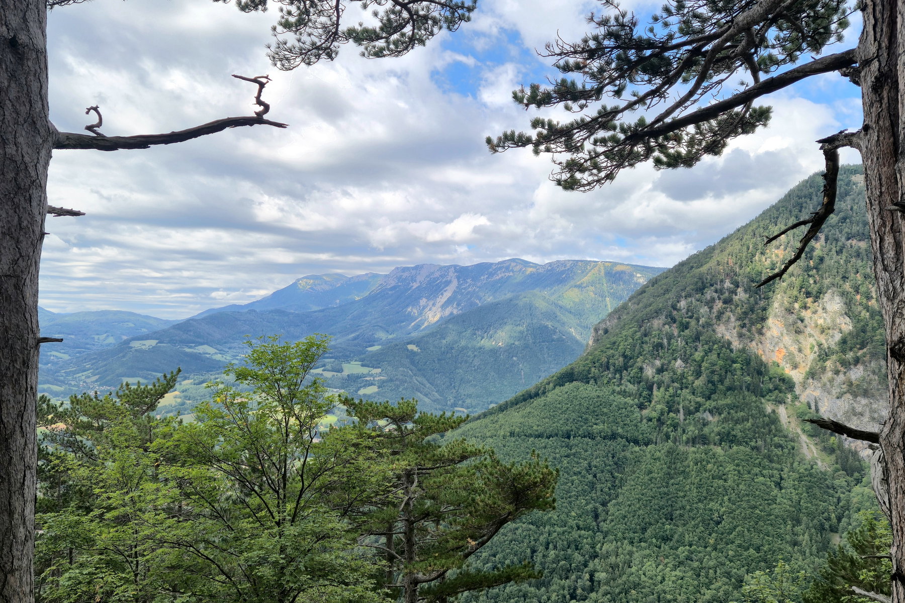 Von Payerbach über die Waldburgangerhütte nach Gloggnitz