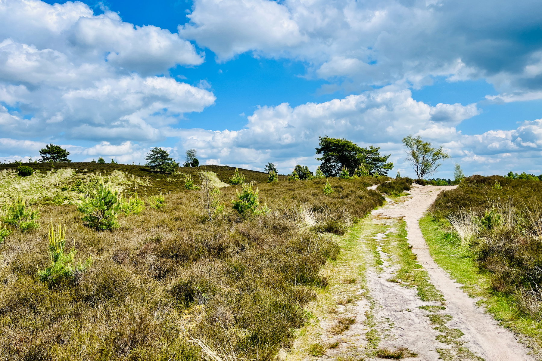 2 Tage in der Lüneburger Heide