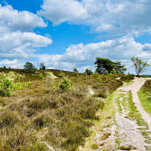 2 Tage in der Lüneburger Heide