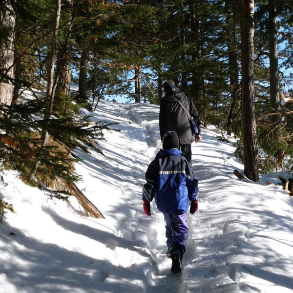Mit den Kindern im Schnee am Grafenbergweg