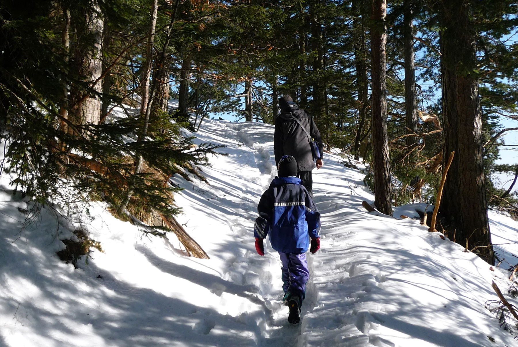 Hohe Wand Februar-Wanderung