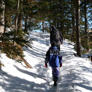 Hohe Wand Februar-Wanderung