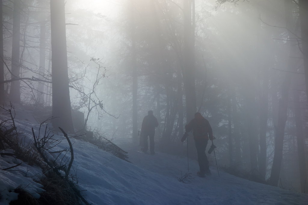 Wir kommen in den Nebel. Die Sonne ist noch nicht direkt sichtbar.