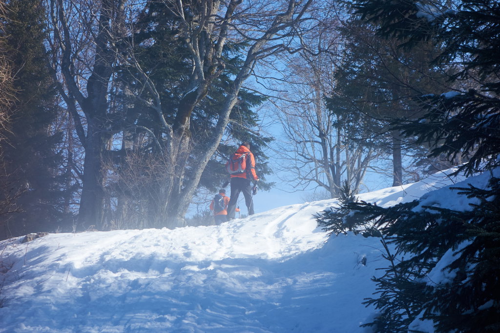 Kurz vor der Talerhütte kommen wir aus dem Nebel heraus und gehen ab hier in der Sonne!