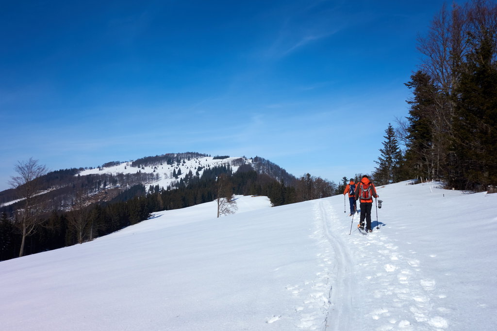 Am Weg vom Rotenstein zur Traisnerhütte auf der Hinteralm.