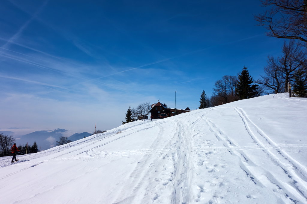Kurz vor der Traisnerhütte