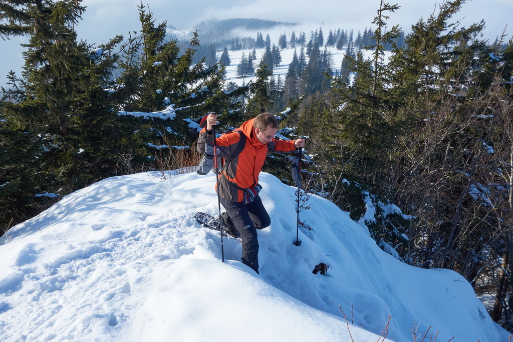 Steiler Abstieg vom Muckenkogel nach Norden.