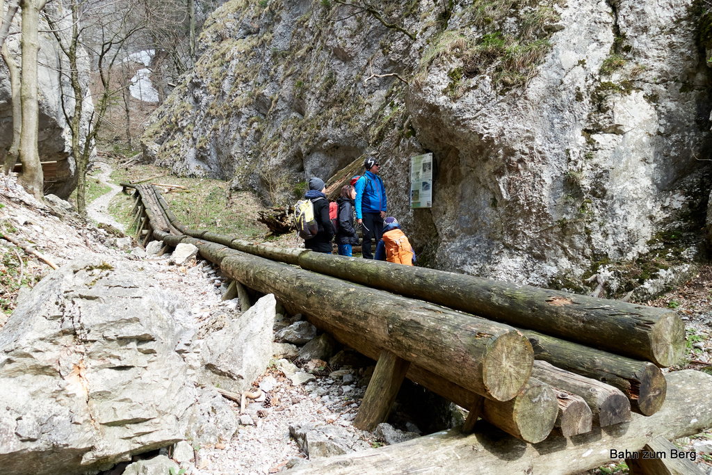 Restauriertes Stück der Holzries in der Eng.