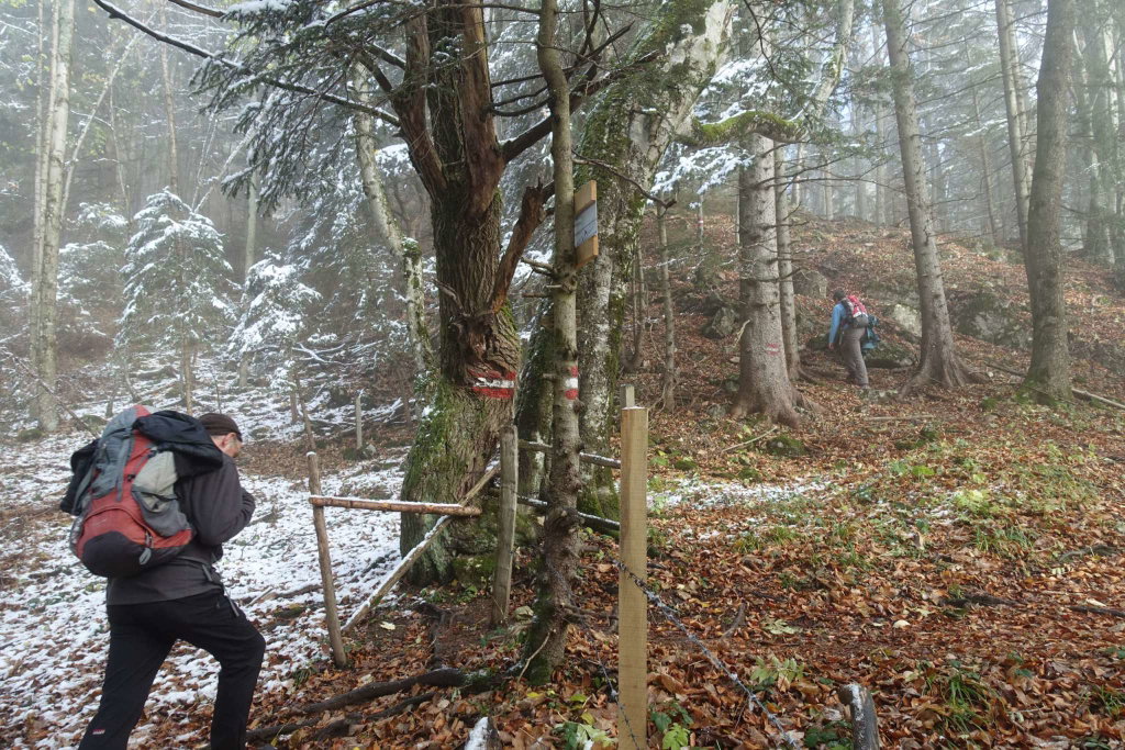 Winter und Herbst durch einen Zaun getrennt